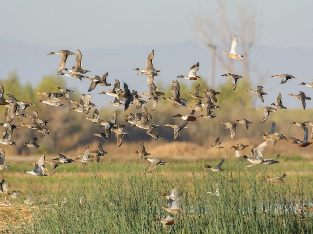 Tamarack Ranch State Wildlife Area