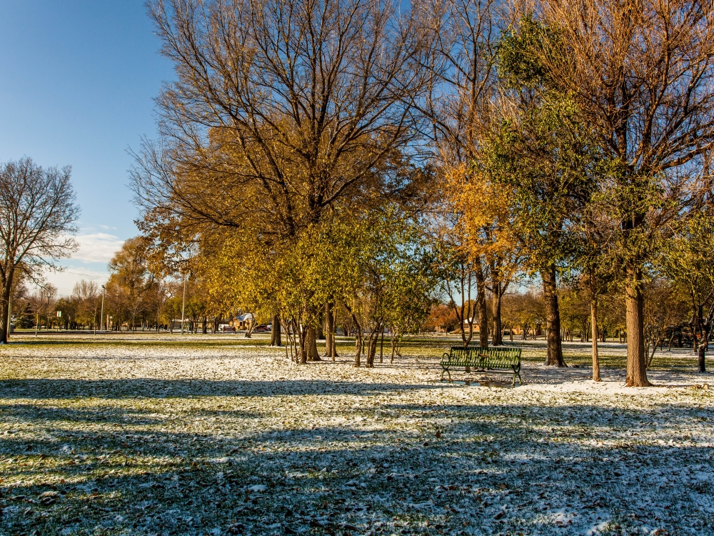 Fall