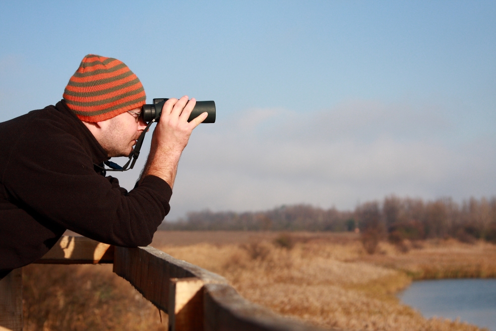 bird watching man as resized