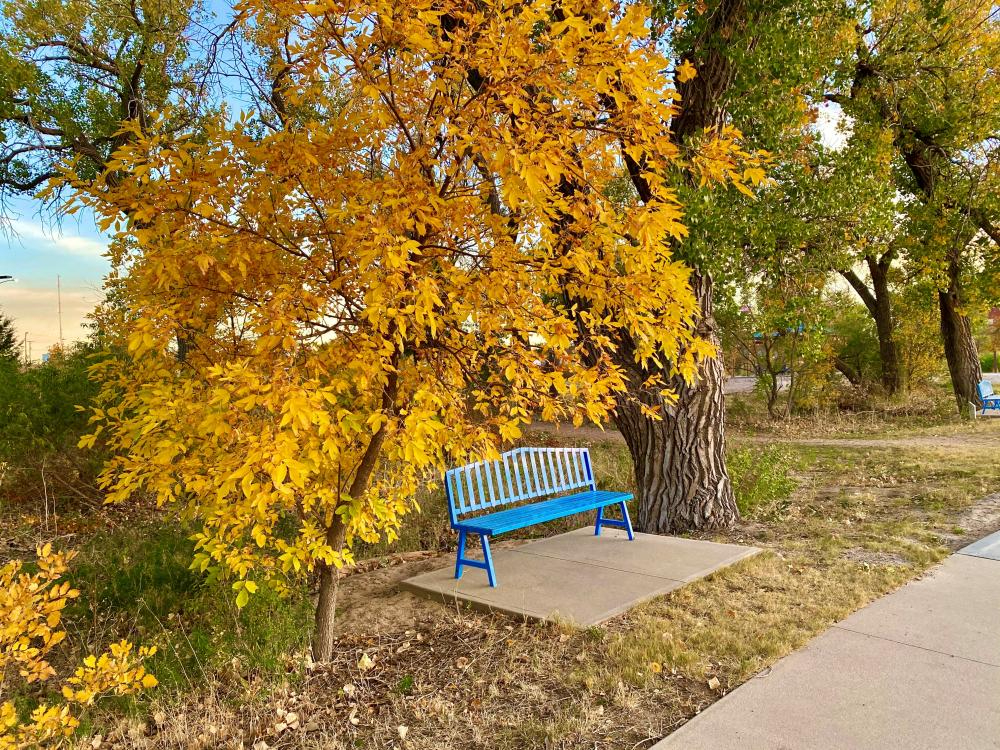 blue bench