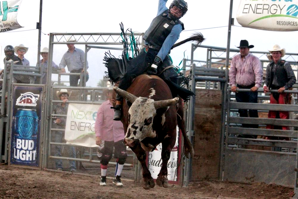 bull riding lcf