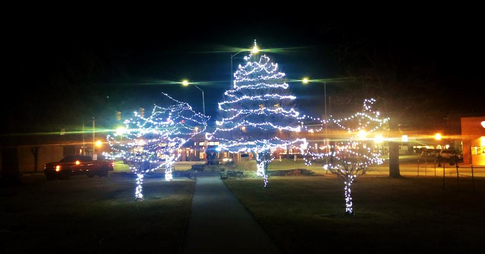 courthouse 3 lighted trees