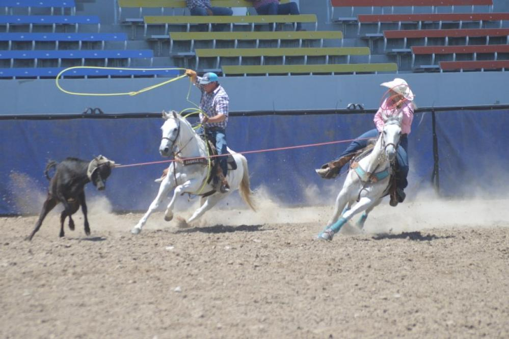 feedlot cowboys roping by ja