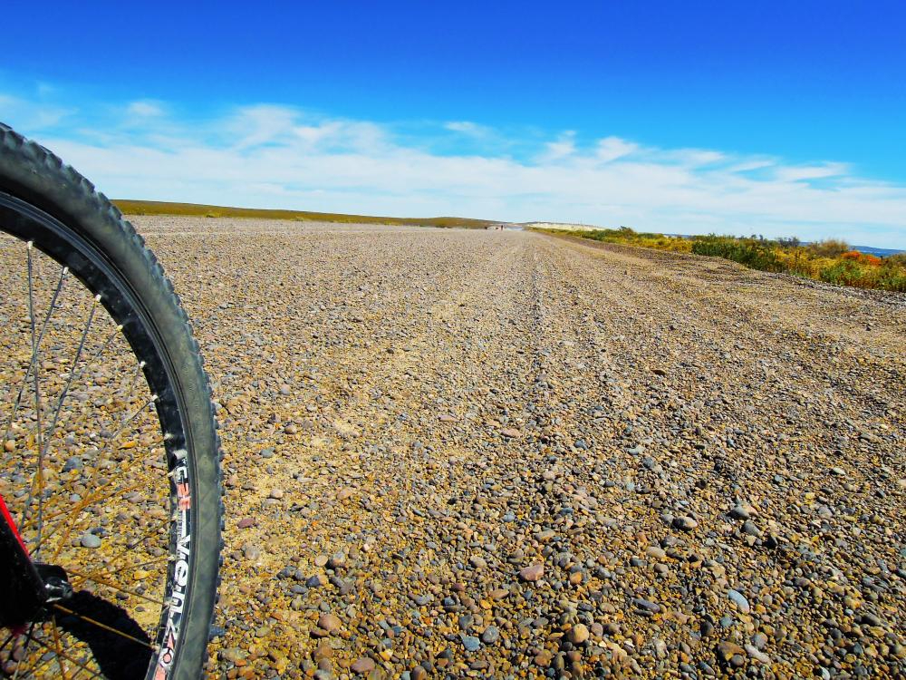 gravel road bike tire adobestock 101835500
