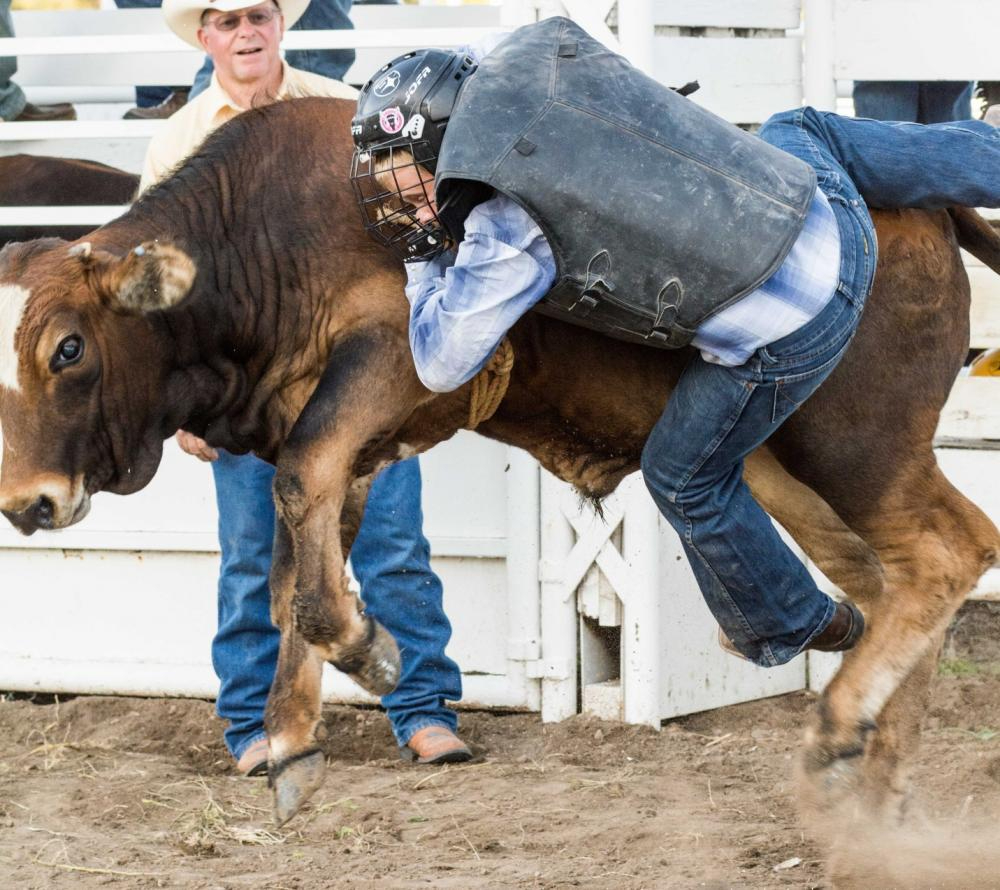 junior rodeoer