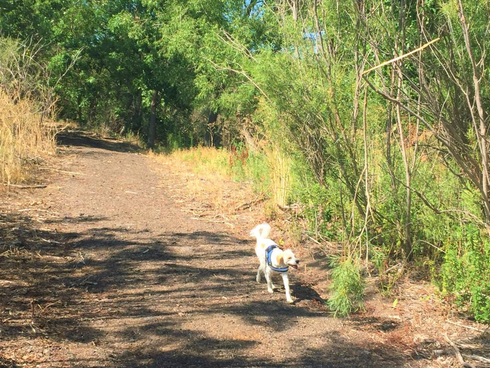 logan county river trail hannah