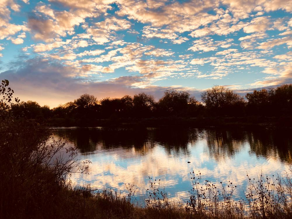 pond reflection