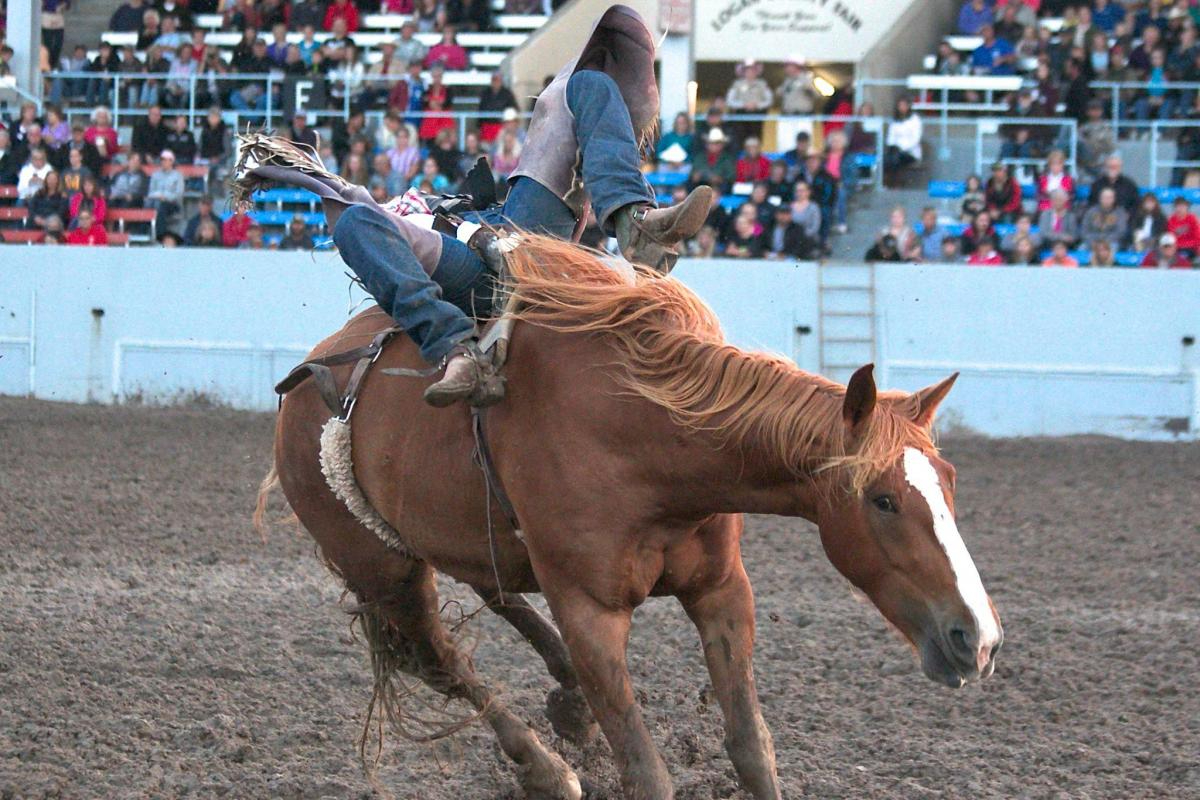 prca rodeos