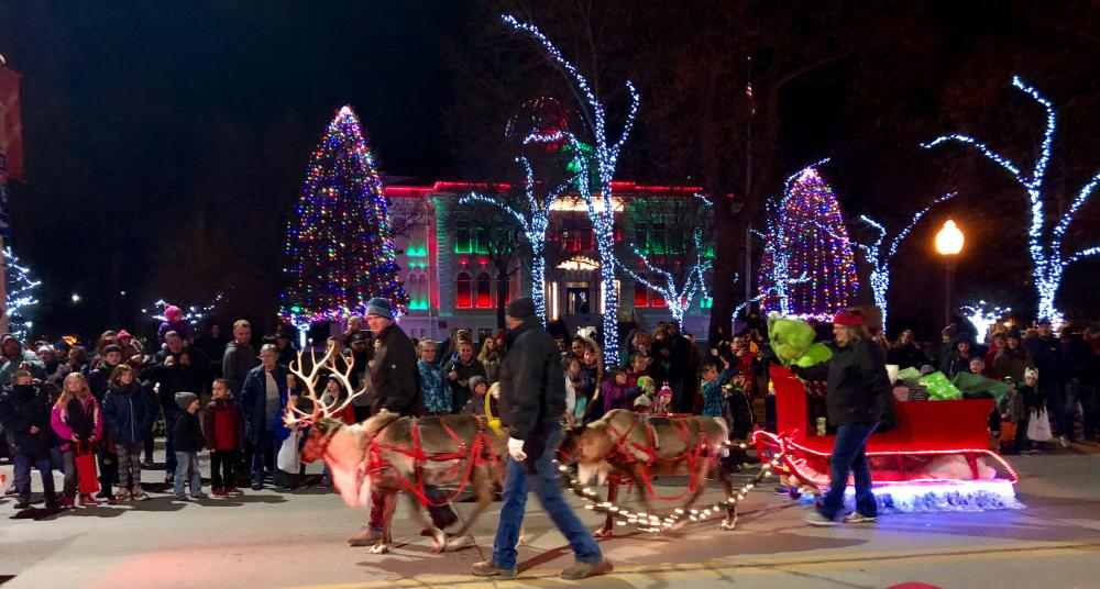 reindeer in parade