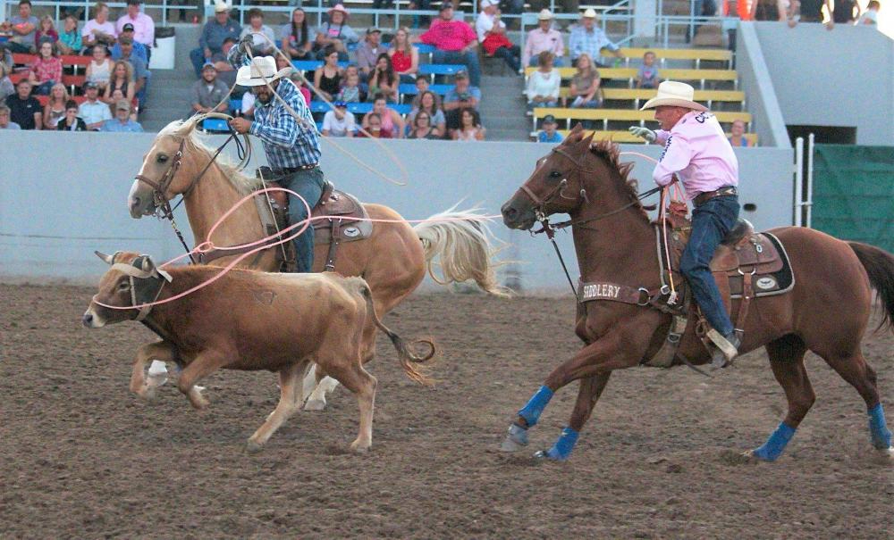 roping at fair 2