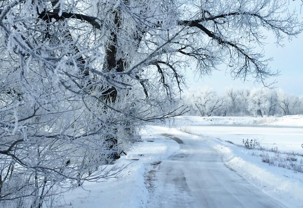 snowy path