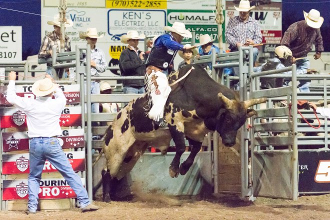 straight outa the gate bull riding