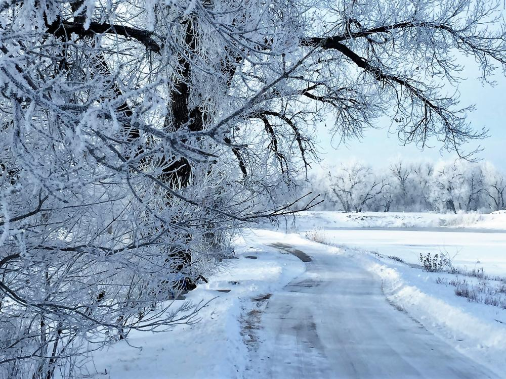 wintery walking path