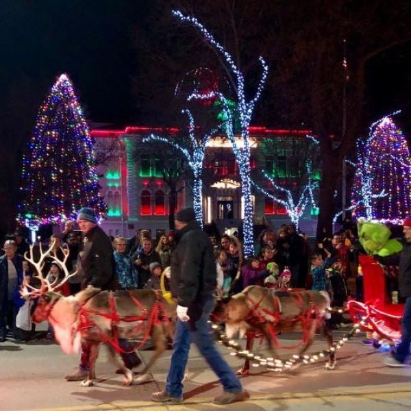 reindeer in parade
