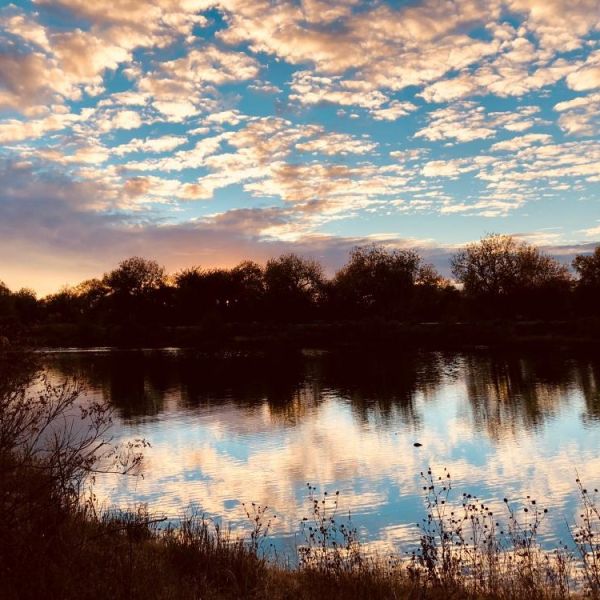 pond reflection