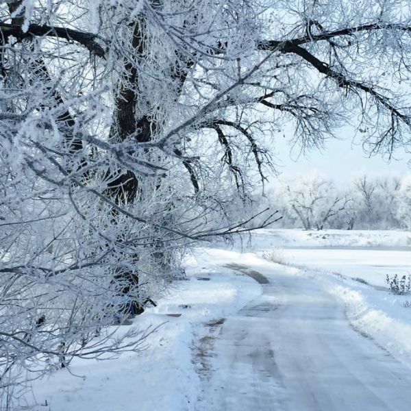 snowy path