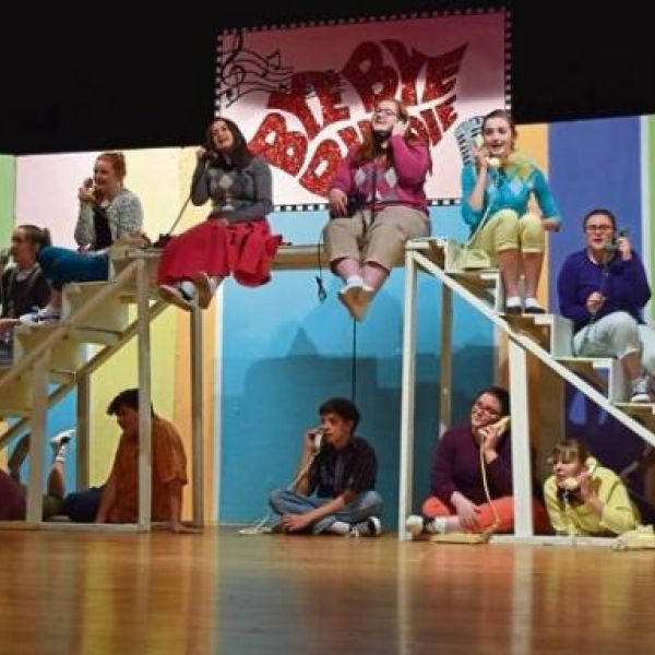 bye bye birdie