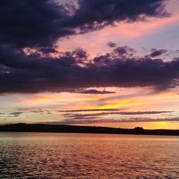 purple sunset jumbo