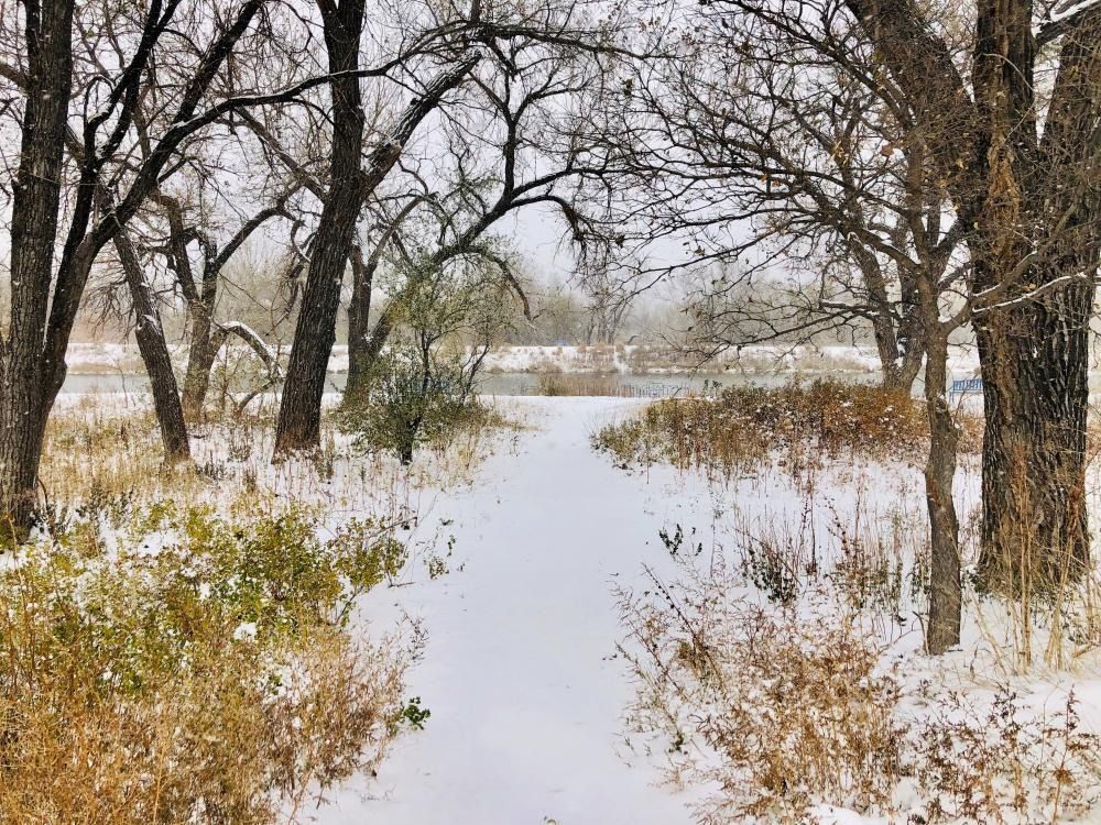 snow color october 2019