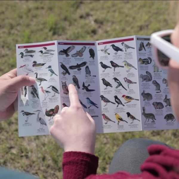 visit logan county nssp hiking birding momentm6