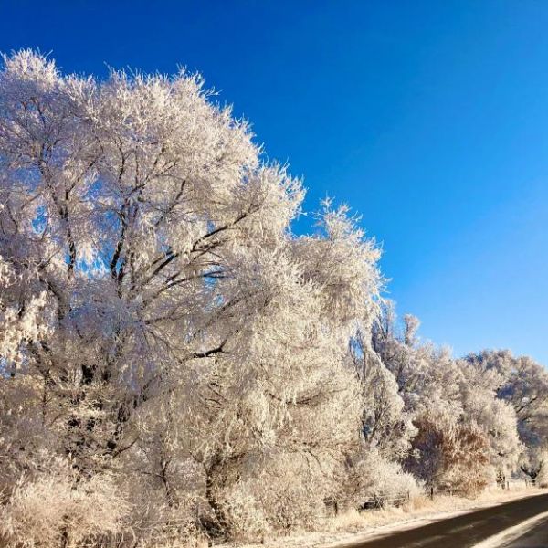 frosty road 2020 2