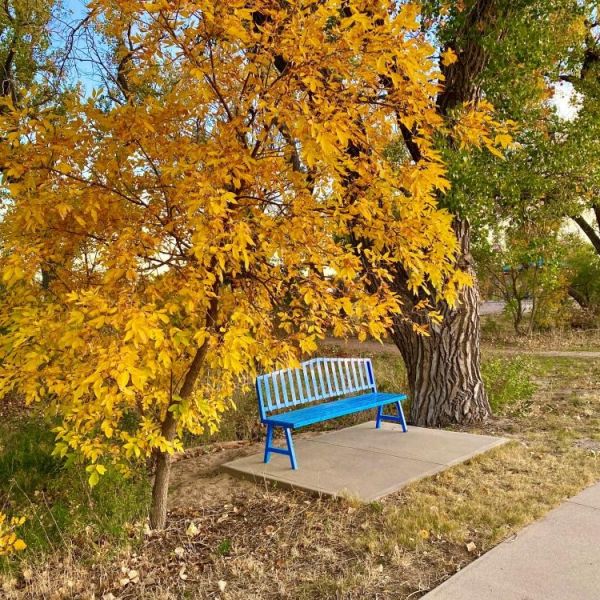 blue bench