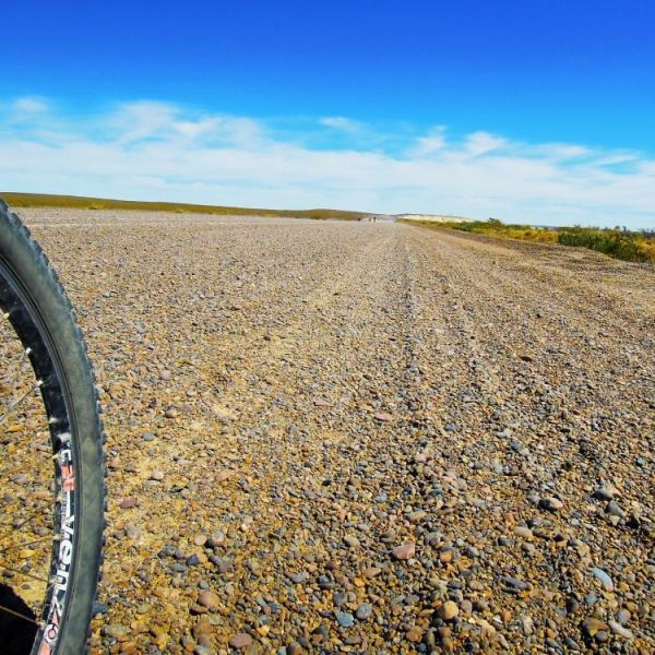 gravel road bike tire adobestock 101835500