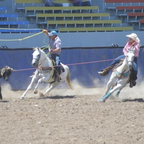 feedlot cowboys roping by ja