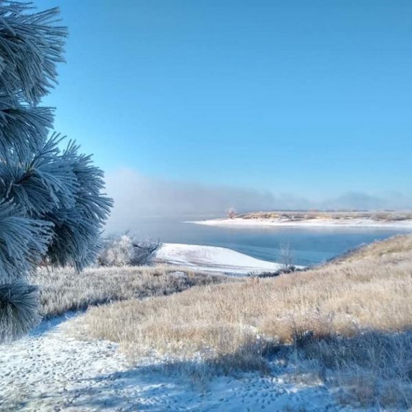 nssp courtesy ice fog