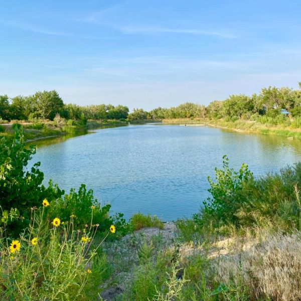 pond21